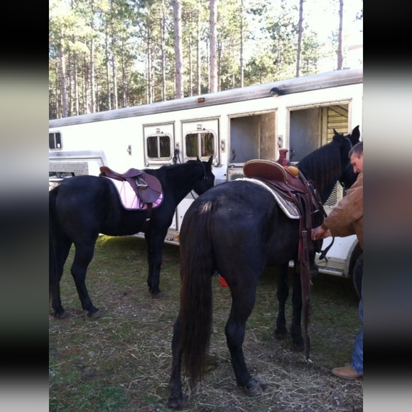 Meet your Posher, Sherry - Picture 4 of 16